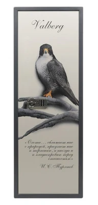 Сейф оружейный Valberg Сапсан-4.EL Print